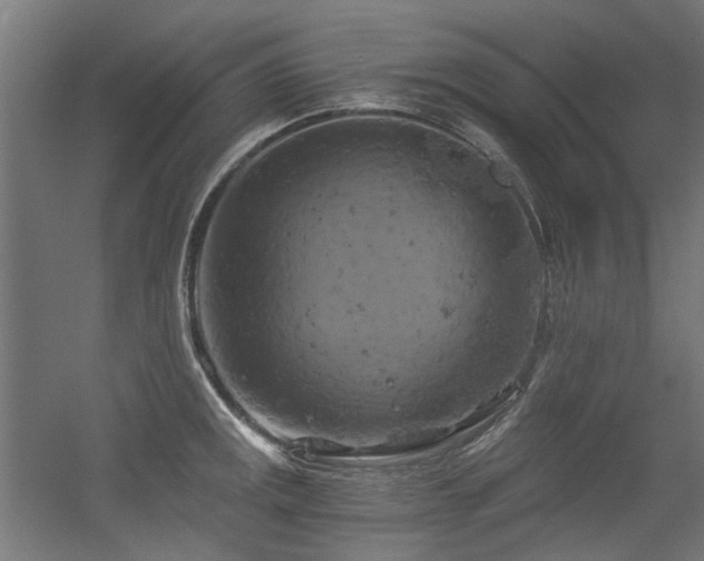 X0000056341141200508291309