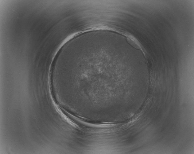 X0000056341142200508291309