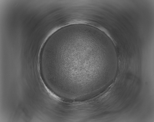 X0000056341143200508291309