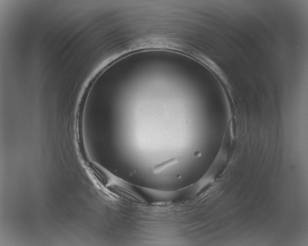 X0000056341144200508291309