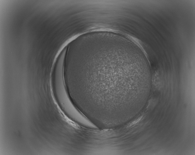 X0000056341149200508291309