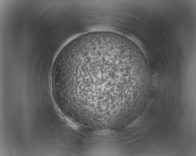 X0000056341150200508291309
