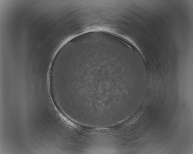 X0000056341151200508291309