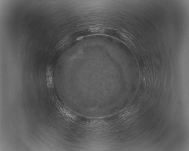 X0000056341154200508291308