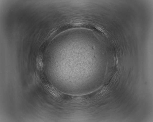 X0000056341155200508291308