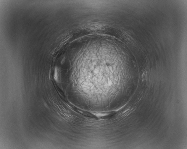 X0000056341156200508291308
