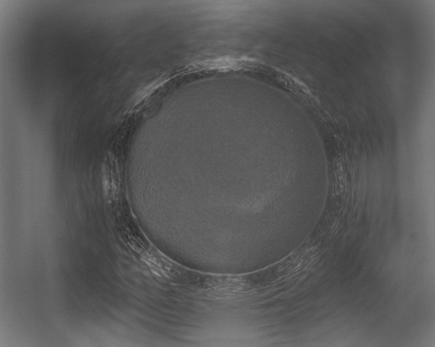 X0000056341158200508291308