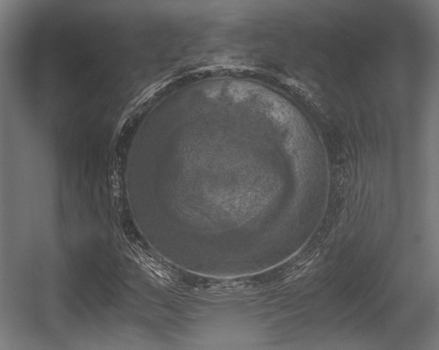 X0000056341159200508291308