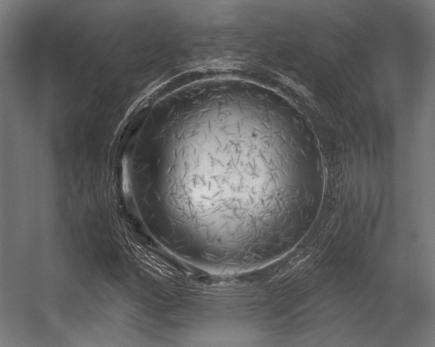 X0000056341160200508291308