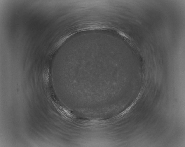 X0000056341161200508291308