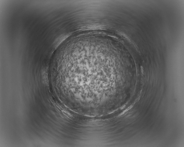 X0000056341162200508291308