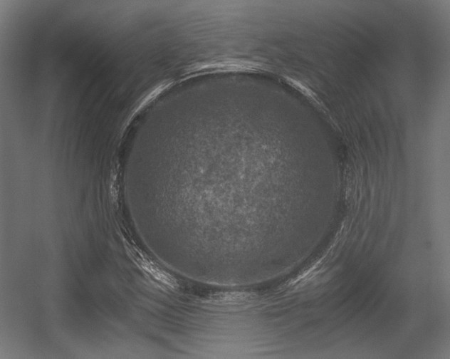 X0000056341163200508291308