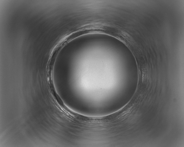 X0000056341164200508291308