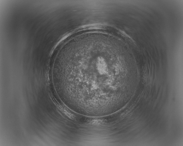 X0000056341166200508291308