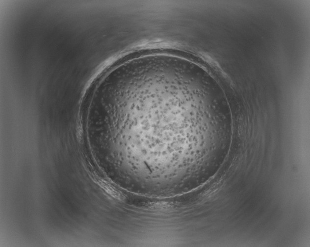 X0000056341167200508291308