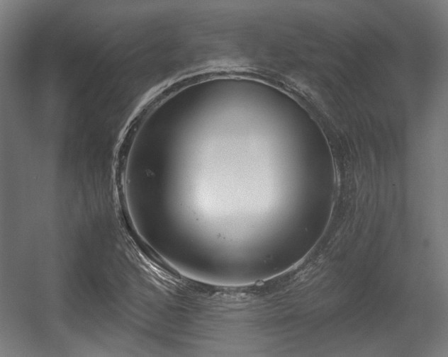 X0000056341168200508291308