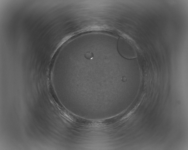 X0000056341170200508291308