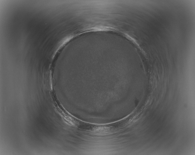 X0000056341171200508291308