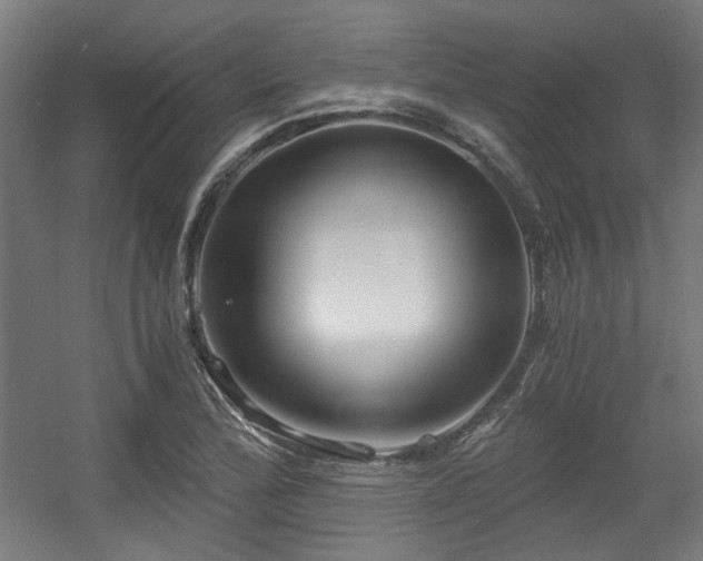 X0000056341172200508291308