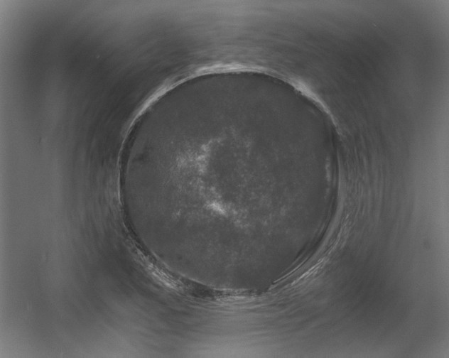 X0000056341173200508291308