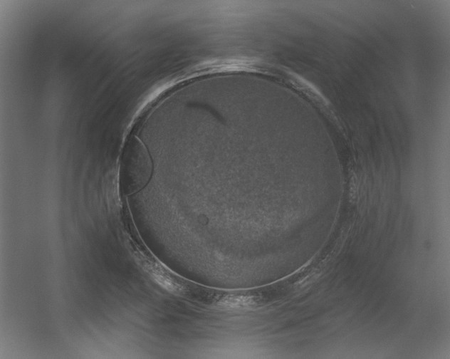 X0000056341174200508291308