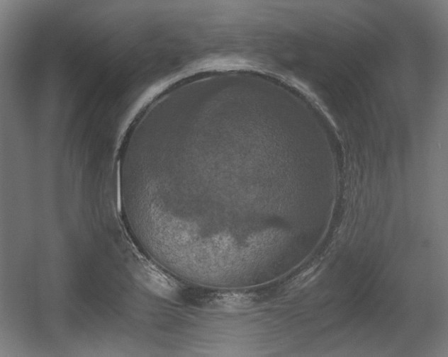 X0000056341175200508291308