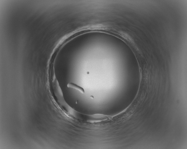 X0000056341176200508291308