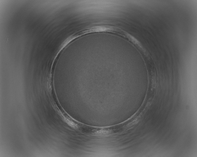 X0000056341178200508291308