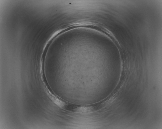 X0000056341179200508291308