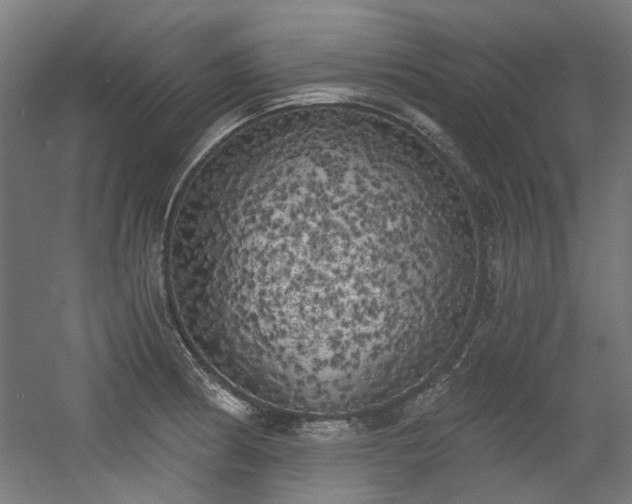 X0000056341186200508291307