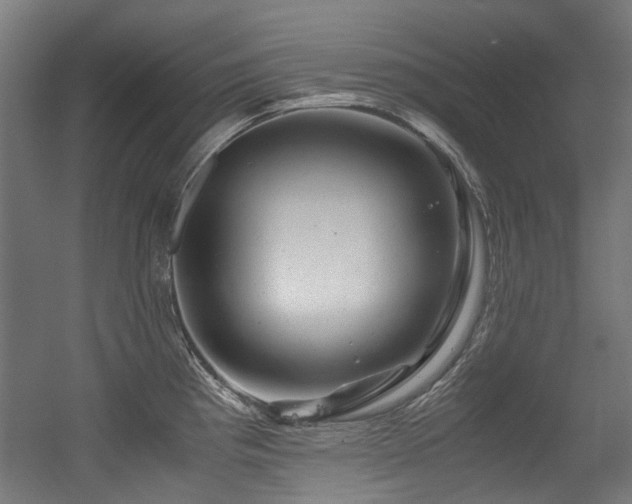 X0000056341193200508291307