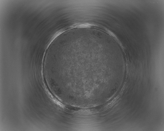 X0000056341194200508291307