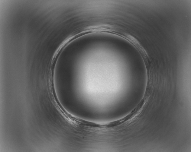 X0000056341196200508291307