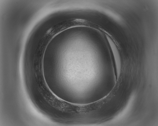 X0000056341199200508291307