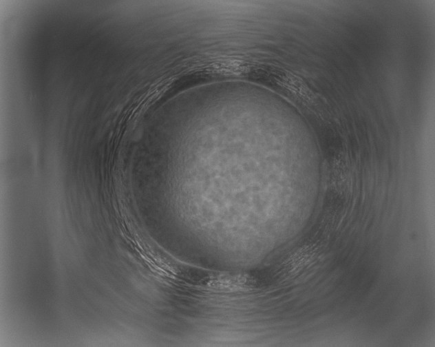 X0000056341201200508291306