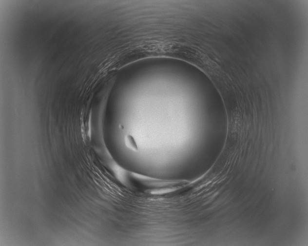 X0000056341202200508291306