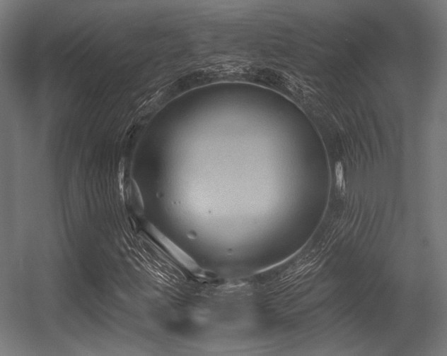 X0000056341203200508291306