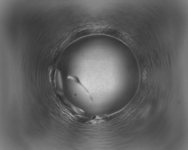 X0000056341204200508291306