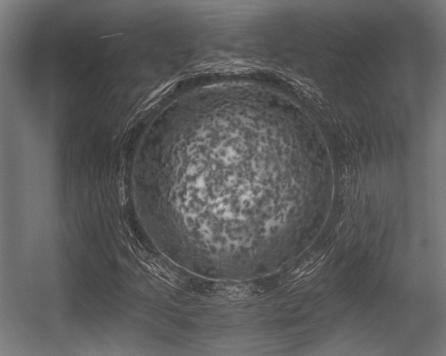 X0000056341205200508291306