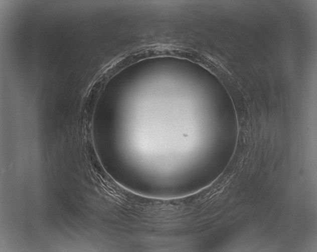 X0000056341207200508291307