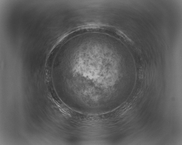 X0000056341208200508291307