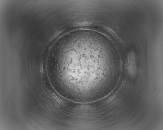 X0000056341209200508291307