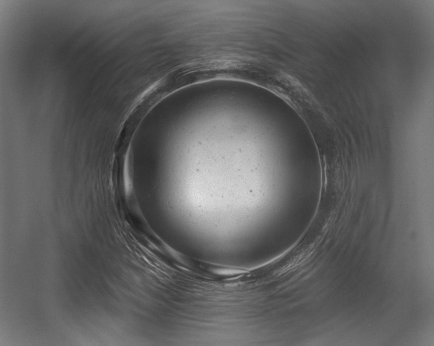 X0000056341210200508291307