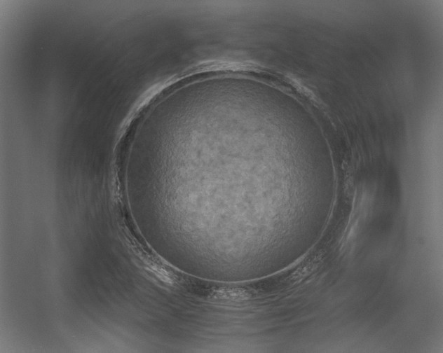 X0000056341215200508291307