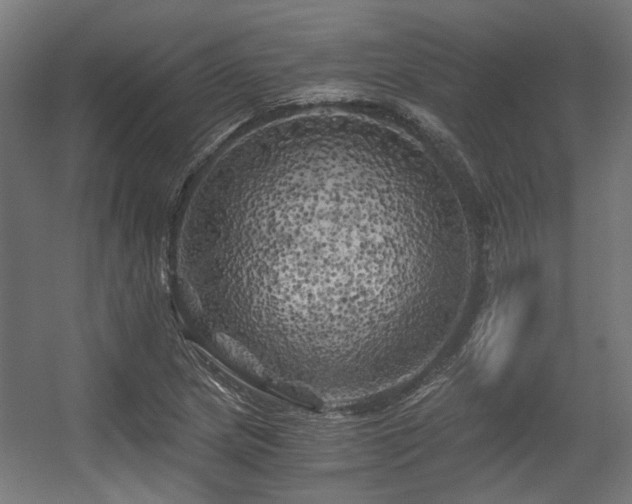 X0000056341217200508291307