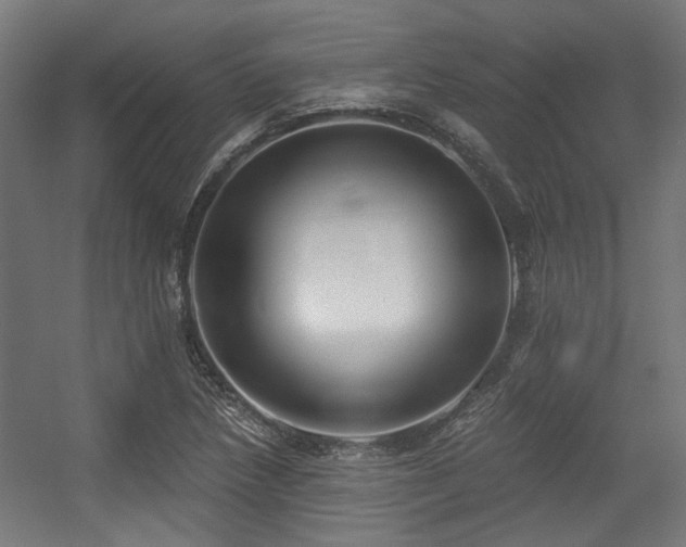 X0000056341218200508291307