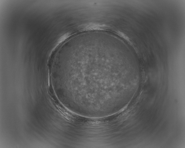 X0000056341219200508291307