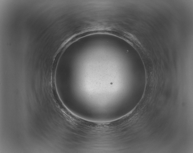 X0000056341220200508291307