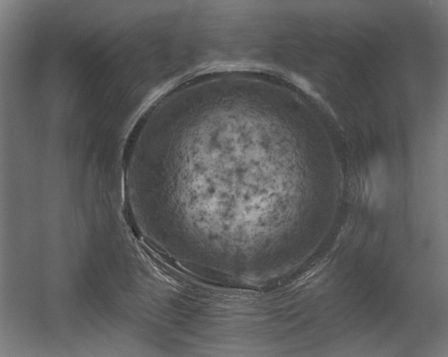 X0000056341221200508291307