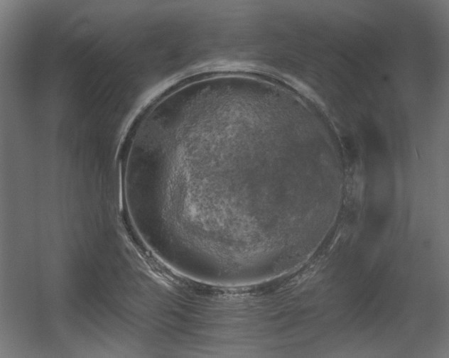 X0000056341223200508291307